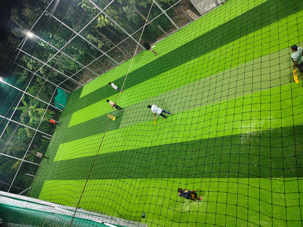 Cricket Turf View